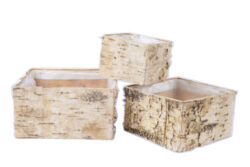 Obal na květináč z kůry BIRCH, dřevo, hnědá, 12x9,5x12//21x12x21cm, S3 - Zbo budeme expedovat po 1. z, o naskladnn budeme prbn informovat.